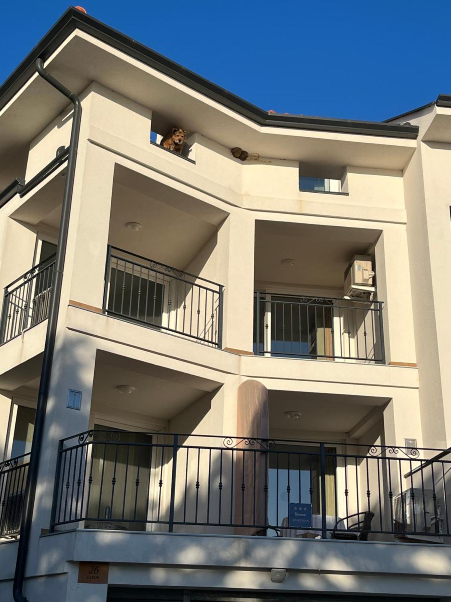 Apartments Amore Baška Zewnętrze zdjęcie