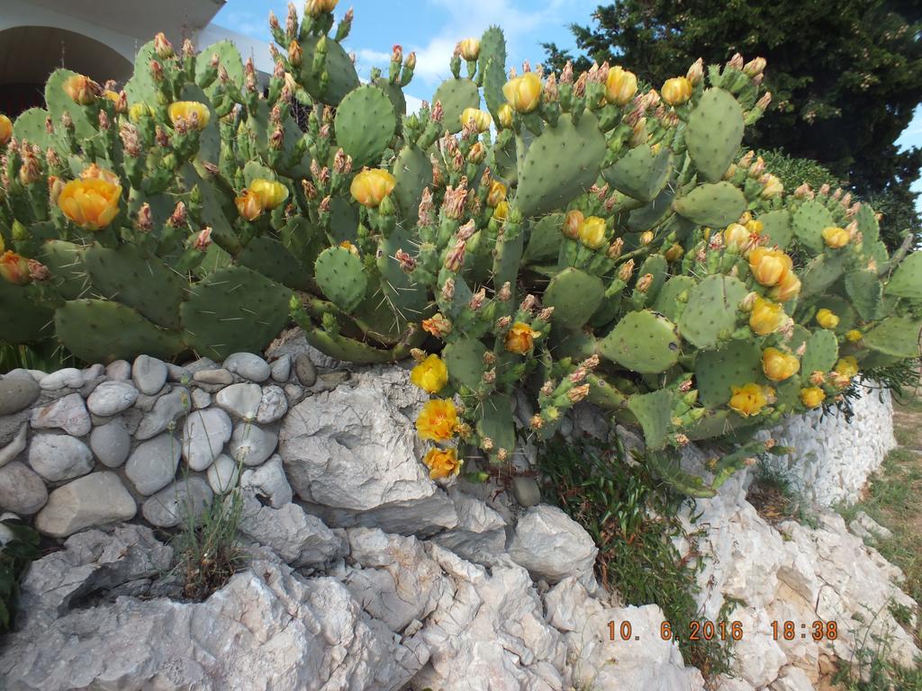 Apartments Amore Baška Zewnętrze zdjęcie